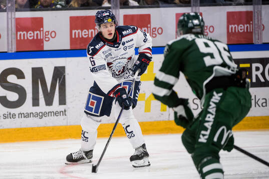 Linköpings Mattias Hävelid