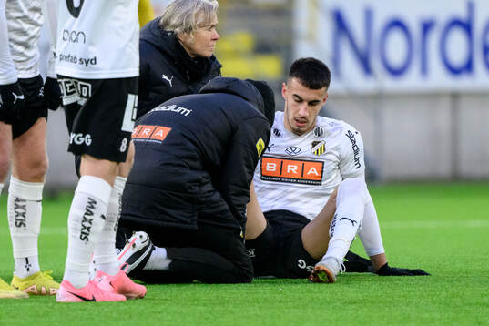 Häckens Srdjan Hrstic undersöks