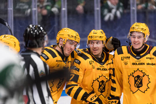 Skellefteås spelare jublar