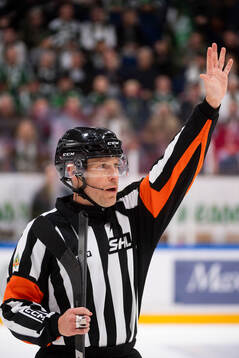 Domare Tobias Björk