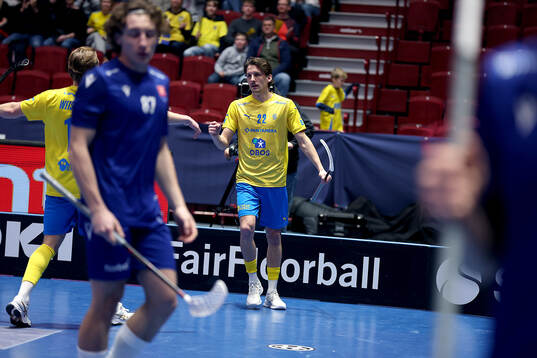 Emil Johansson of Sweden