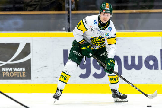 Björklövens Lenni Killinen