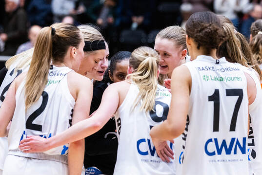 Luleås spelare jublar