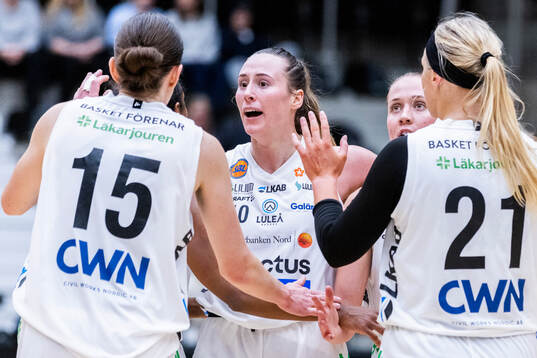 Luleås Mehryn Kraker