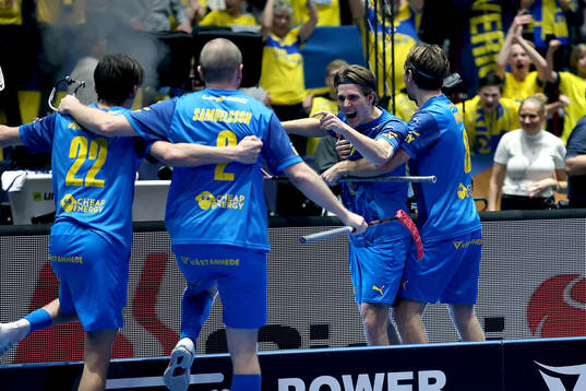 Sakarias Ulriksson of Sweden celebratesduring the men's IFF
