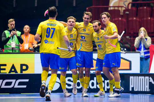 Albin Sjögren, Hampus Ahren , Tobias Gustafsson and Robin