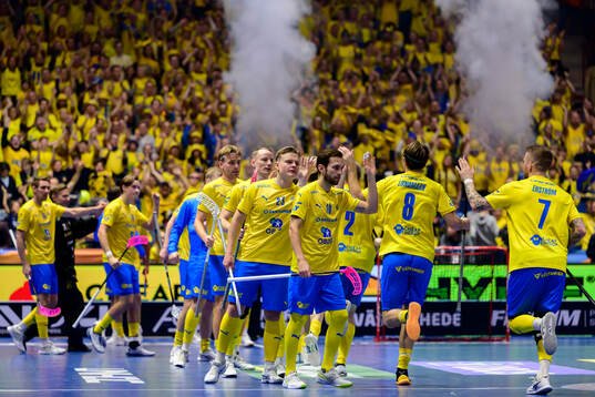 Players of Sweden celebrate the 2-0 goal