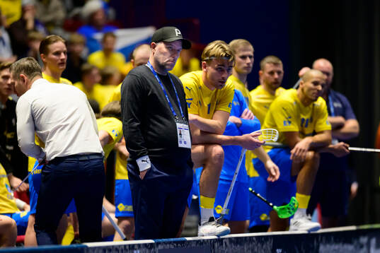 Head coach Thomas Brottman of Sweden