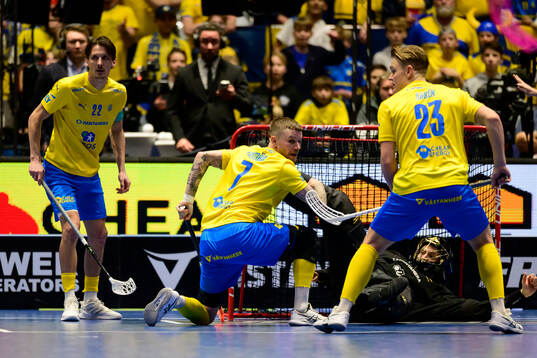 Emil Johansson , Rasmus Enström , goalkeeper Jon Hedlund