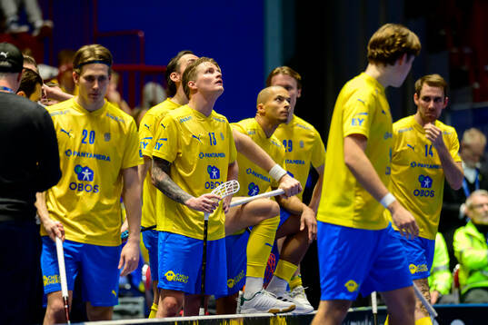 Sakarias Ulriksson and Ludwig Persson of Sweden look