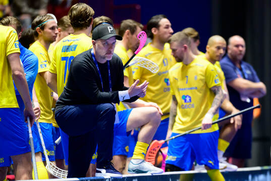 Head coach Thomas Brottman of Sweden