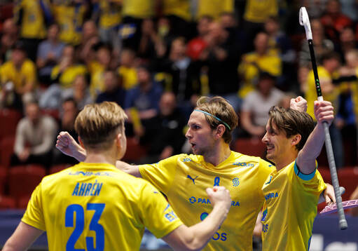 Emil Johansson of Sweden celebrates the 3-0 goal