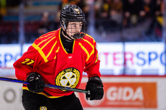 Brynäs Gustav Hillström