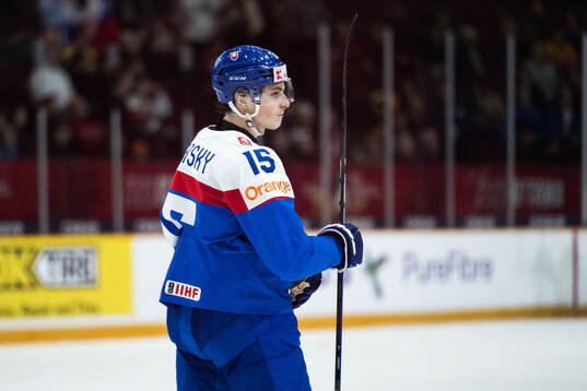 Dalibor Dvorsky of Slovakia