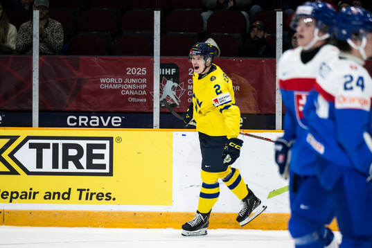 Rasmus Bergqvist of Sweden celebrates