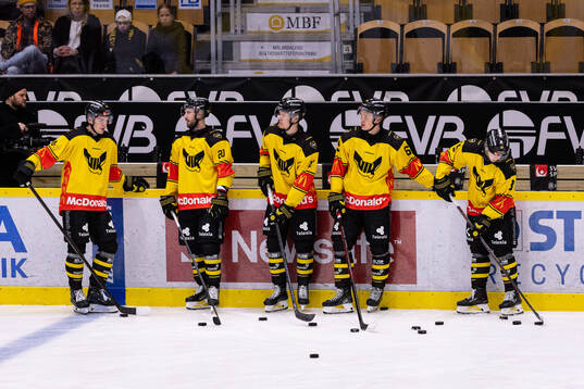 Västerås spelare