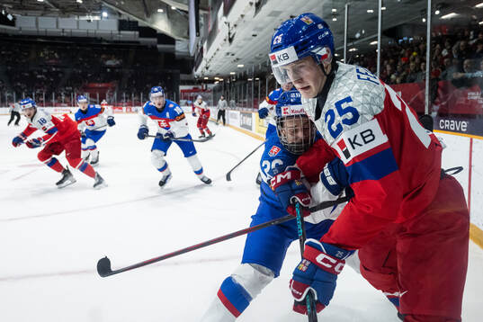 Luka Radivojevic of Slovakia and Jiri Felcman of Czech