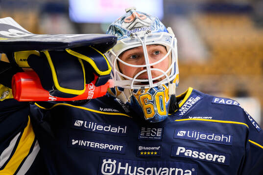 HV71s målvakt Hugo Alnefelt