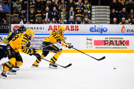 Skellefteås Martins Dzierkals och Max Lindholm