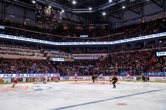 Monitor ERP Arena