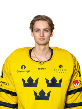 Goaltender Melvin Strahl of the Swedish under-20 national