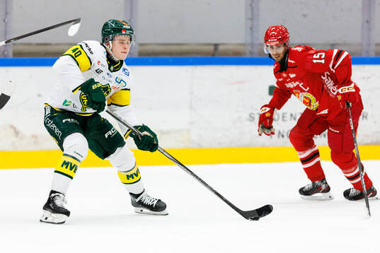 Björklövens Alfons Freij