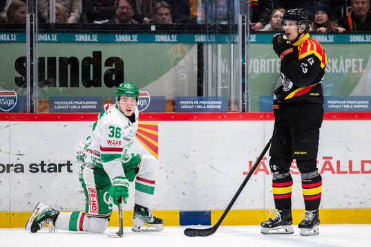 Rögles Axel Smeds och Brynäs Oskar Lindblom