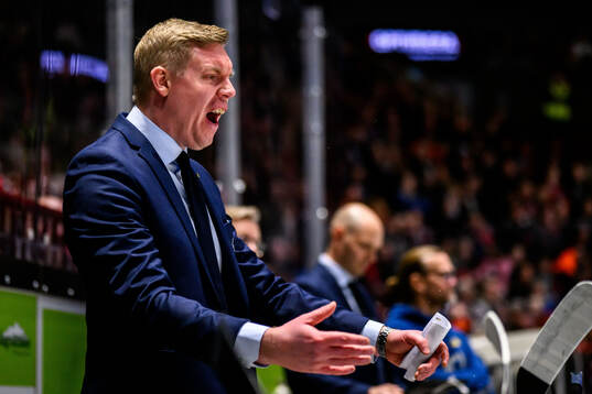 HV71s tränare Anton Blomqvist