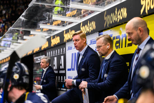 HV71s tränare Anton Blomqvist