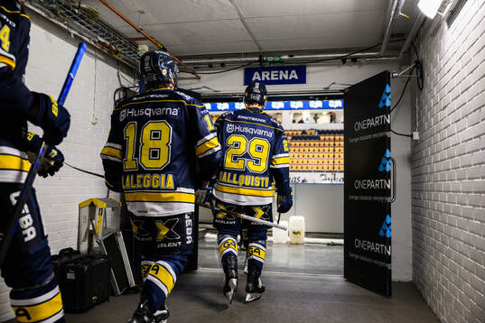 HV71s Joseph Laleggia, HV71s Wilhelm Hallquisth
