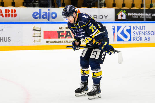 HV71s Radan Lenc deppar