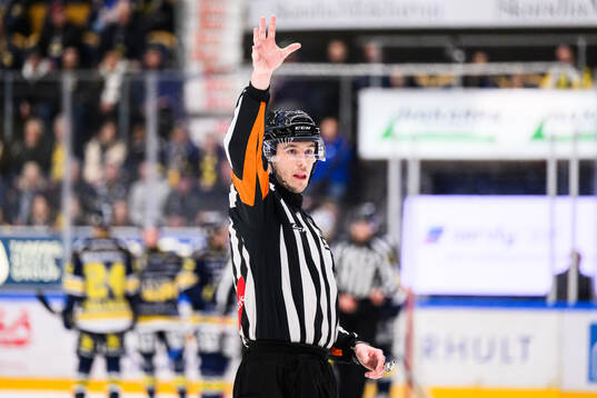 Domare Oscar Niklasson