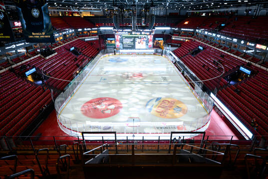 Monitor ERP Arena