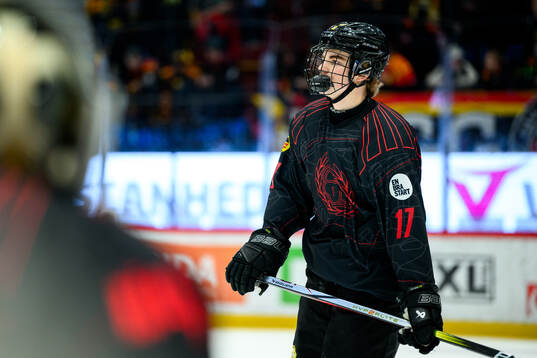 Brynäs Michal Svrcek