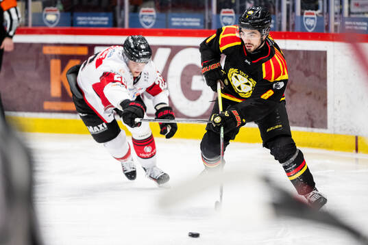 Brynäs Bobby Trivigno