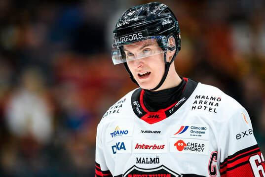 Malmö Redhawks Fredrik Händemark deppar