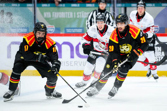 Brynäs Michal Svrcek och Tyler Vesel