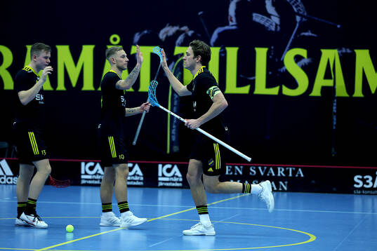 AIK's lagkapten Andreas Stefansson