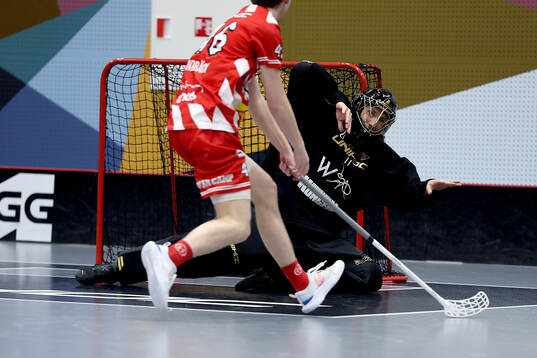 Pixbos målvakt Jon Hedlund