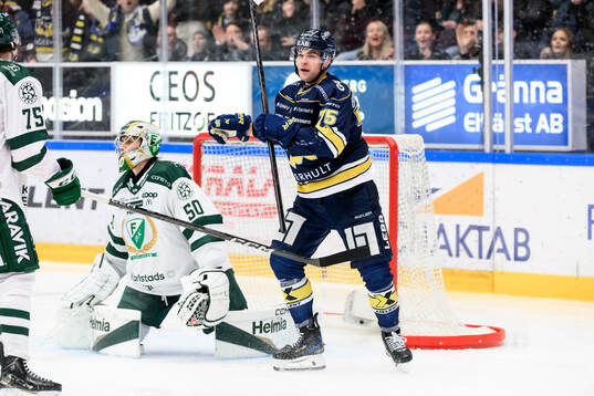 HV71s Radan Lenc jublar