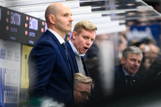 HV71s tränare Anton Blomqvist