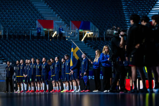 Players of Sweden