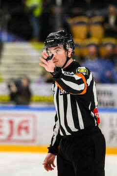 Domare Filip Eriksson