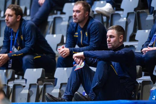 Goalkeeper Andreas Palicka of Sweden in the stands