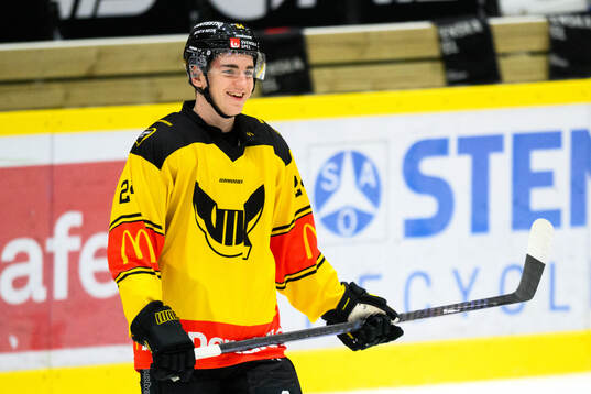 Västerås Joel Kant