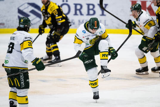 Björklövens Fredrik Forsberg jublar