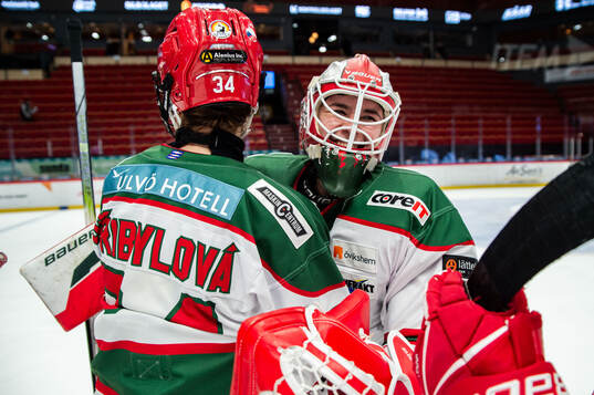 Bläddra bland fler bilder av Ishockey, SDHL, Brynäs - Modo