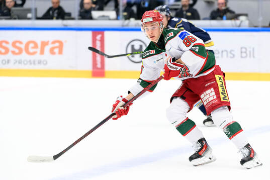Modos Lukas Jasek