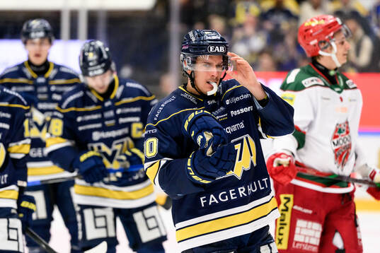 HV71s Andre Petersson deppar