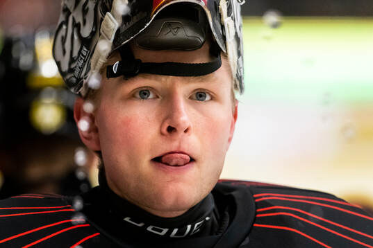 Brynäs målvakt Ludvig Persson